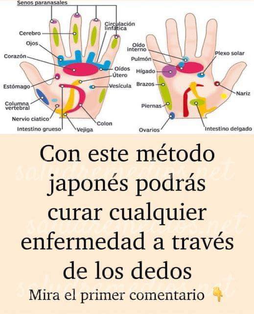 Diagrama de Reflexología de las Manos