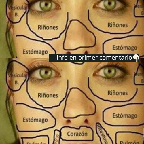 Mapa facial de órganos