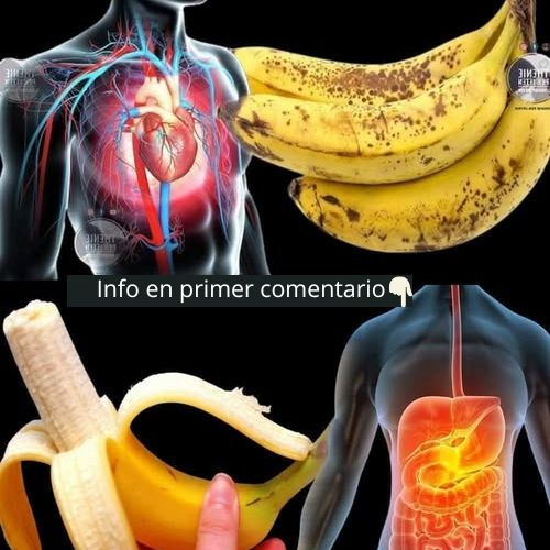 Bananas y su impacto en la salud