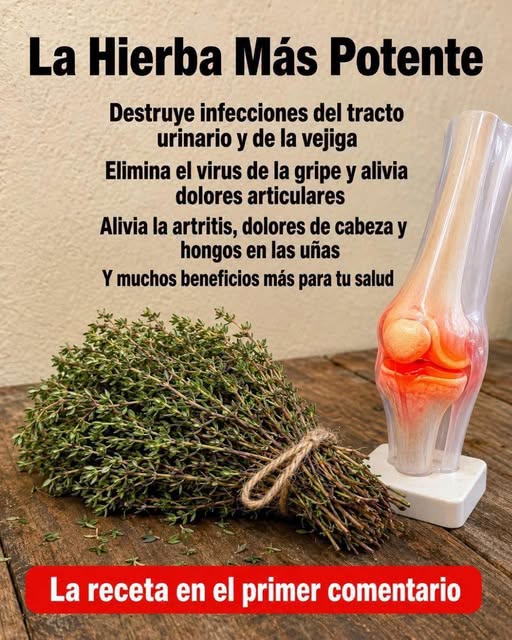 Tomillo para la inflamación y el dolor articular: beneficios reales