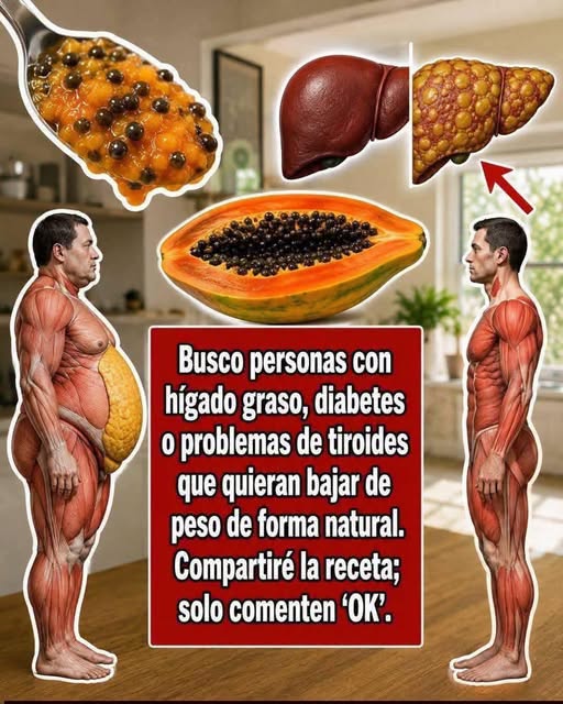 beneficios de las semillas de papaya