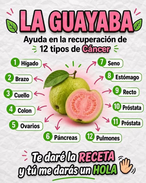Beneficios del té de hojas de guayaba para la salud y la digestión