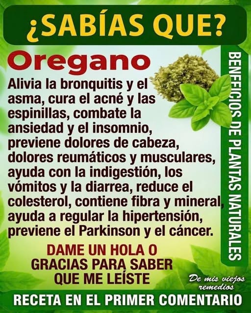 Beneficios del orégano para la salud: propiedades, usos y precauciones