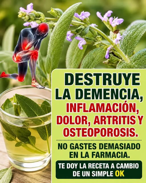 Beneficios de la salvia