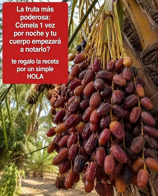 Beneficios de los dátiles