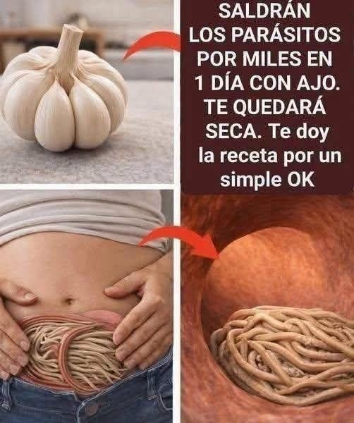 Beneficios del ajo