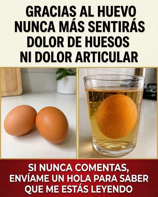 huevo para los huesos y articulaciones