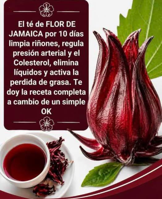 la flor de Jamaica para la inflamación