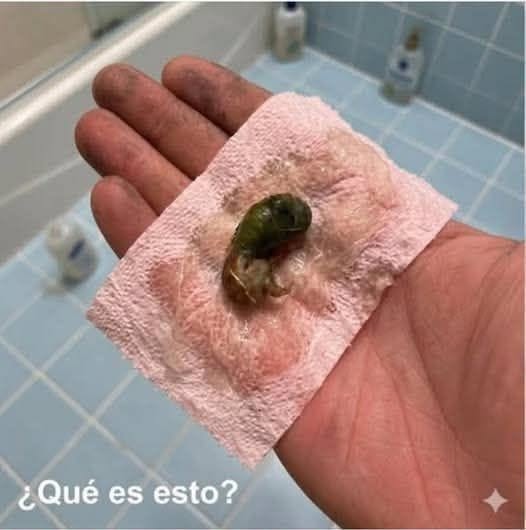 objeto desconocido en el baño