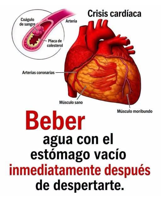 Beber agua en ayunas: beneficios reales para tu hidratación